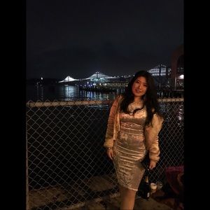 Velvet Midi Bodycon Silver Dress